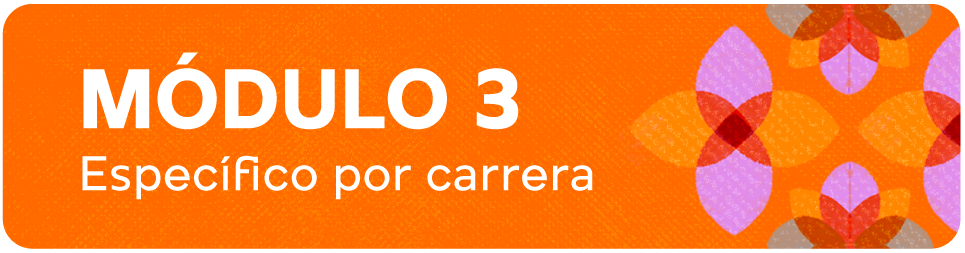 Modulo 3 Específico por carrera 